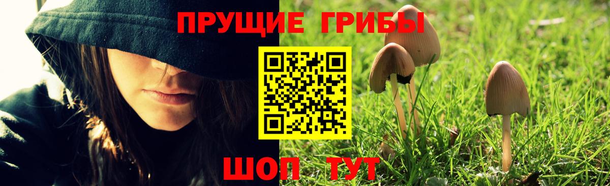 Красногорск  Галлюциногенные грибы мухоморы  Вход с VPN 